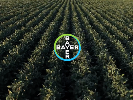 BAYER – Human Invention